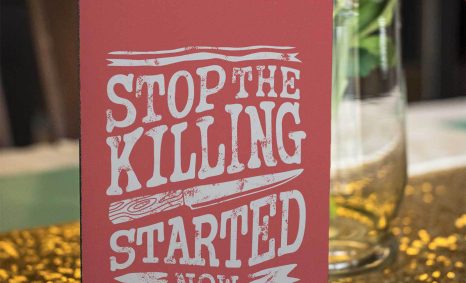 Greeting Card Mockups