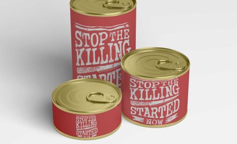 Free Kitchen Items Mockup