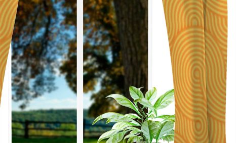 Download Free Curtain Mockup Template 14 Mockup Curtain Presentation