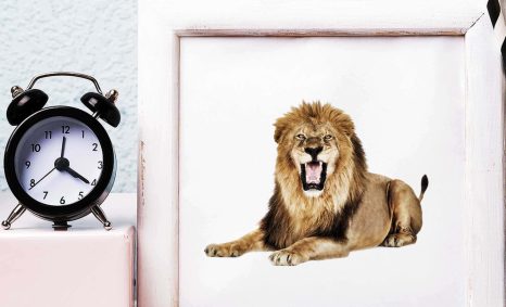 Free New Room Frame Design Mockup