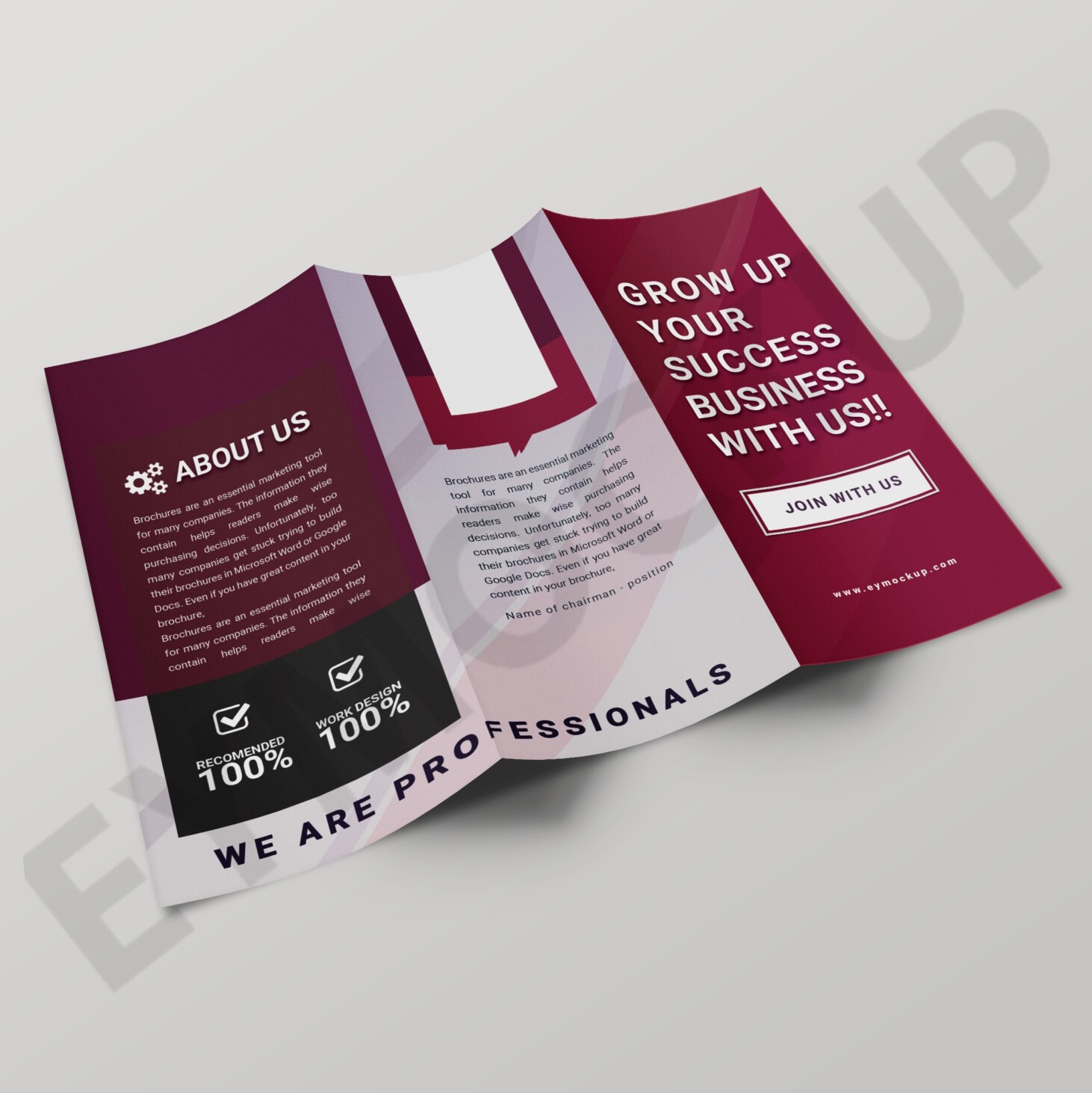 Business Tri-Fold Brochure