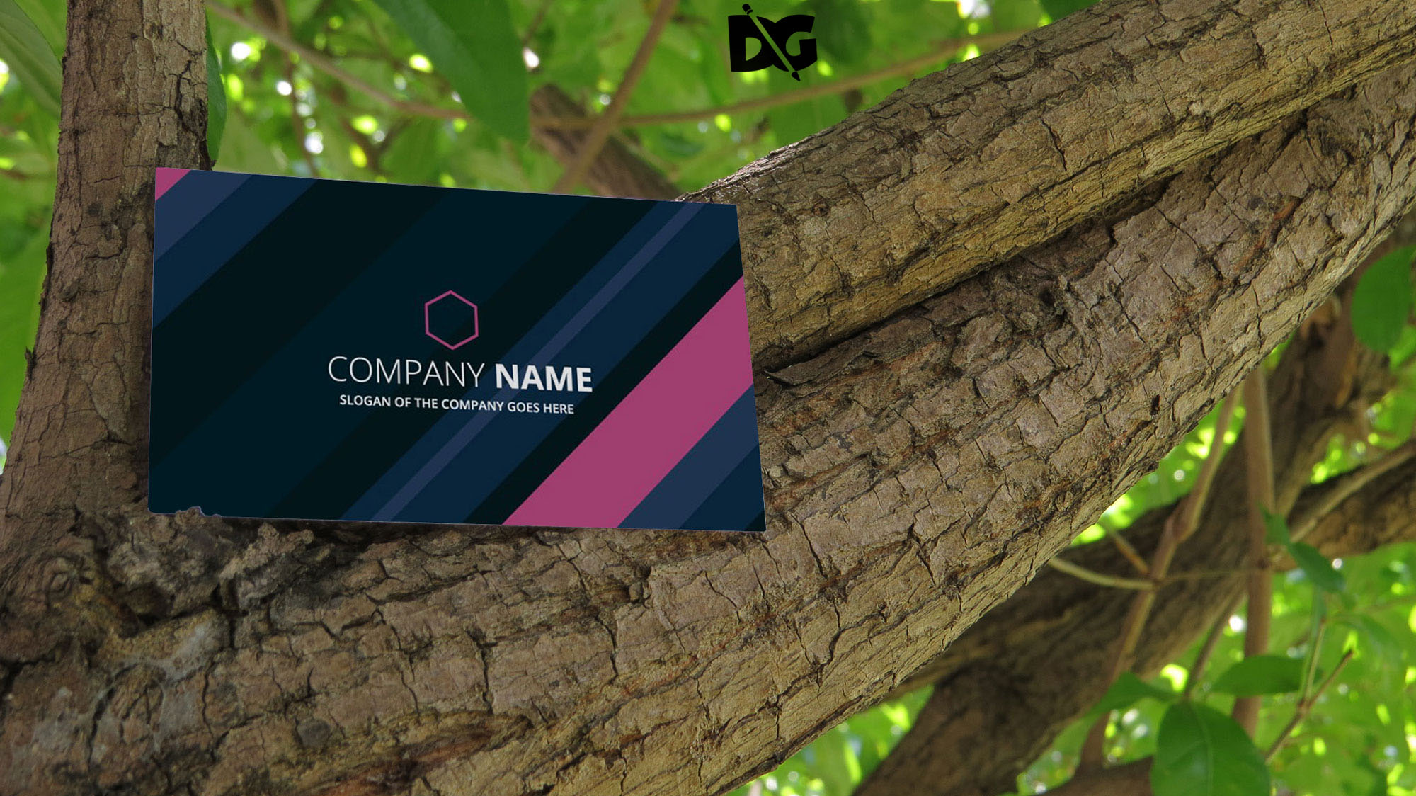Business Card Nature Mockup