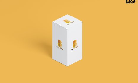 Box Folder Mockup
