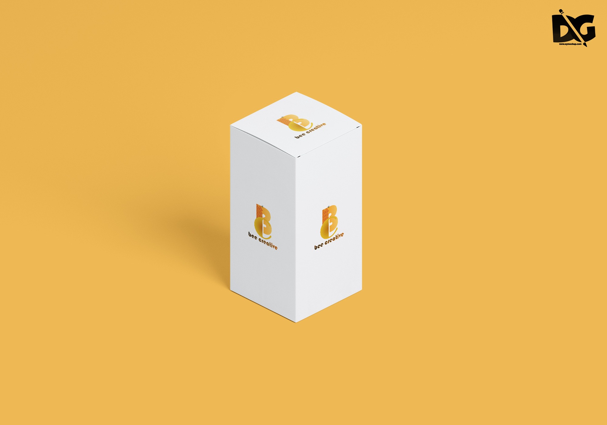 Box Folder Mockup