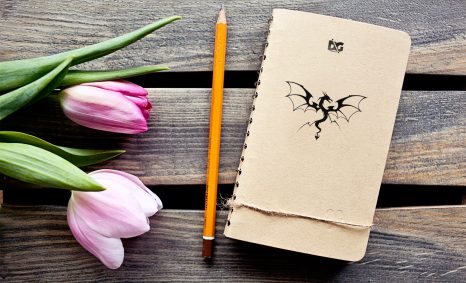 Dairy Cover Mockups