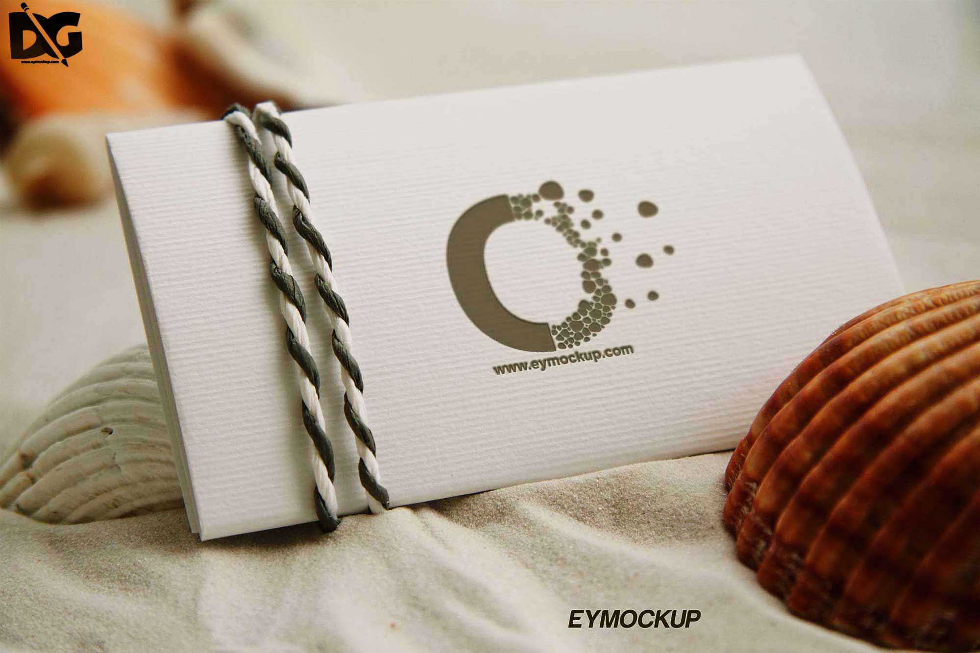 Elegant Beach Logo Mockups for Designers 16 Beach Logo Mockups