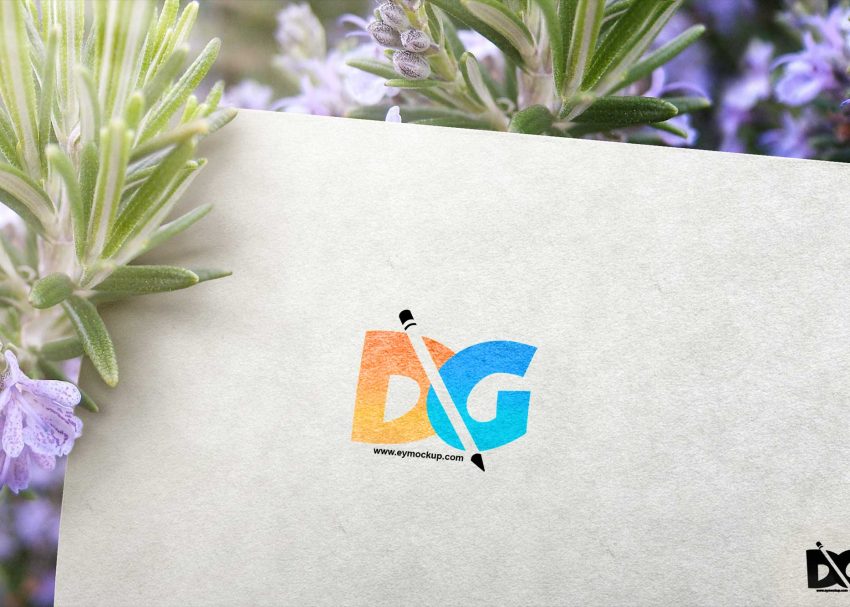 Free PSD Mockups 3 Scene Mock-Up PSD