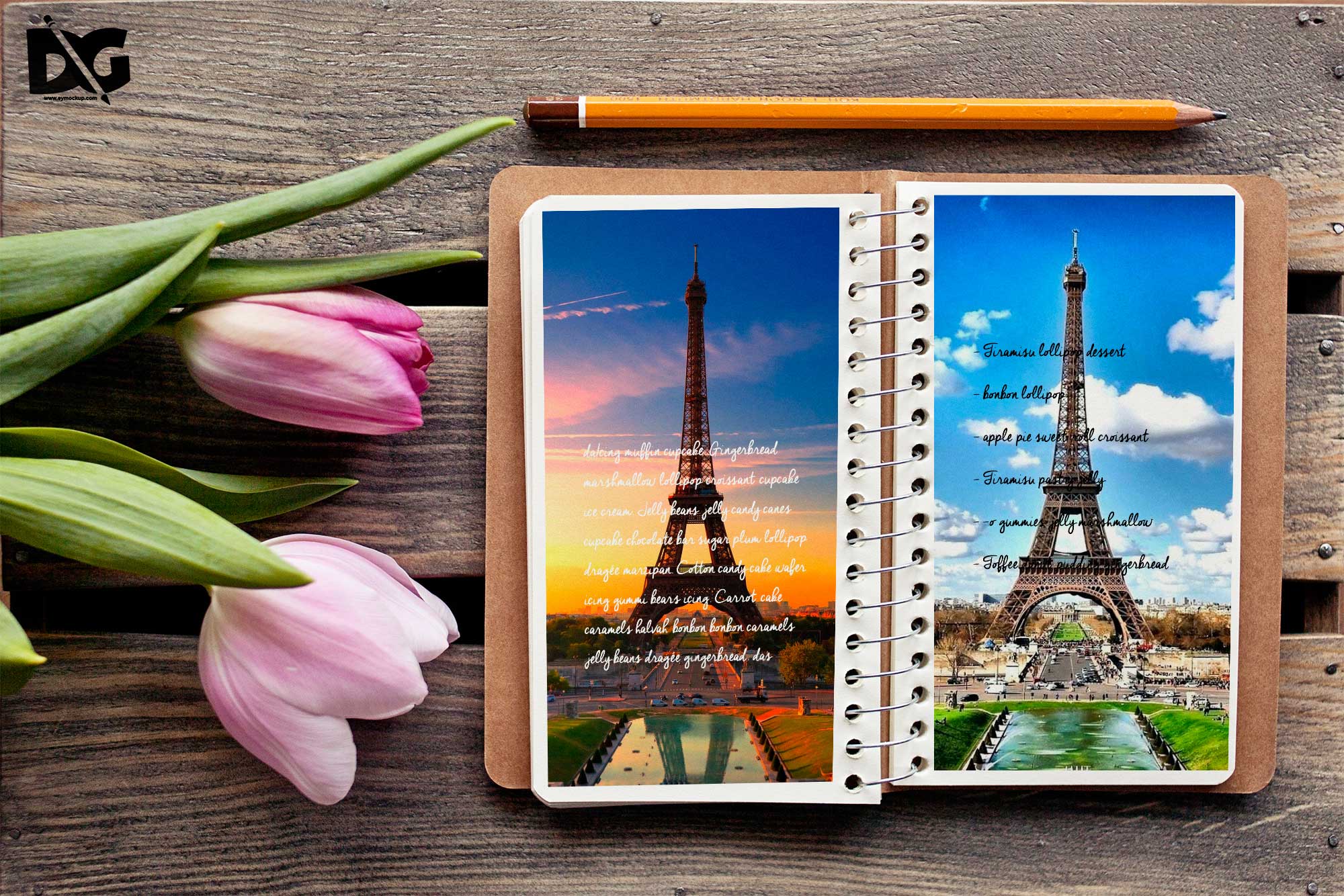 Logo Display Mockups