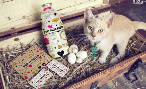 Label PSD Mockups