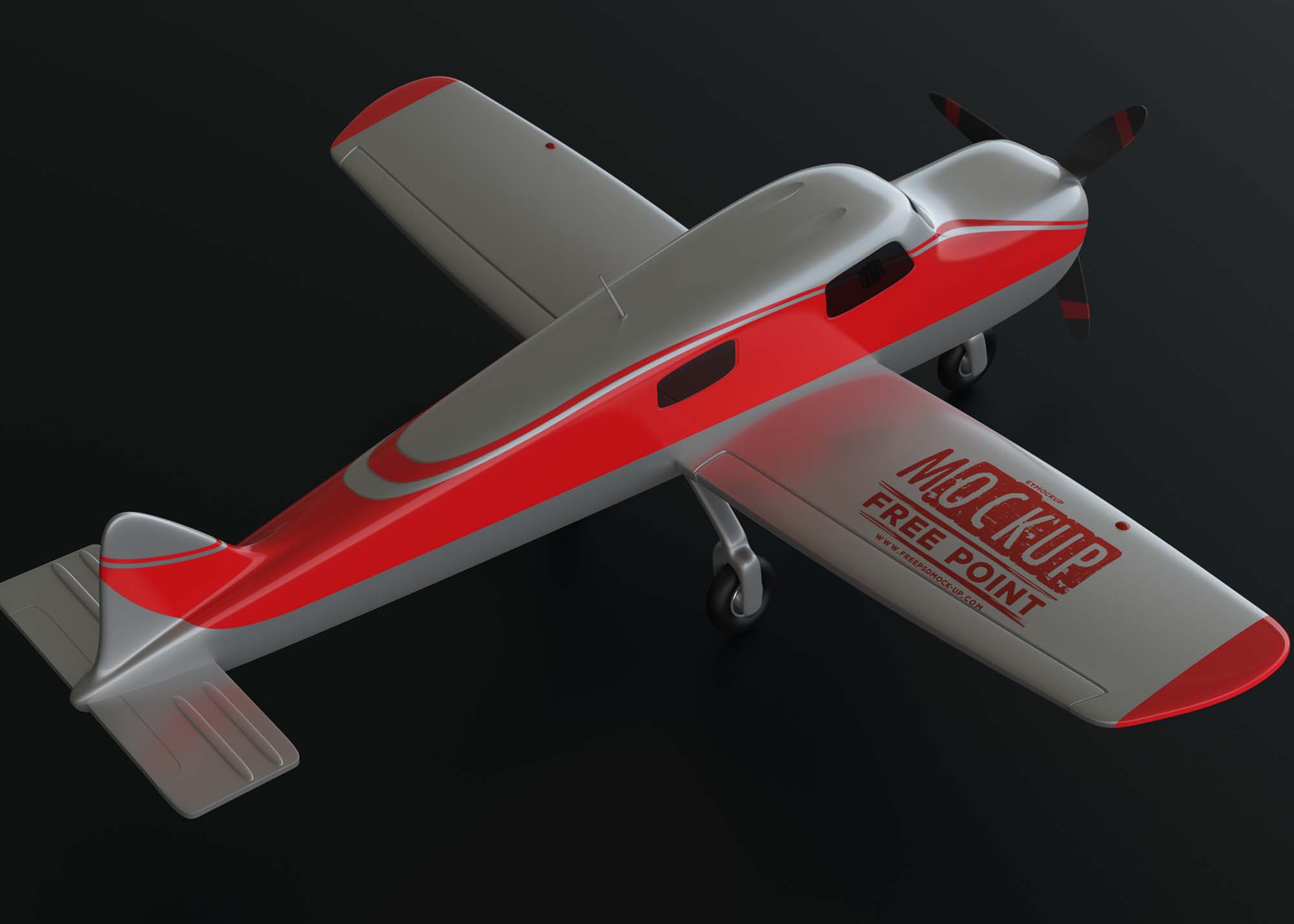 Custom Plane Design Mockup