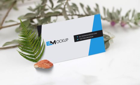 Latest Green Business Card Mock Up