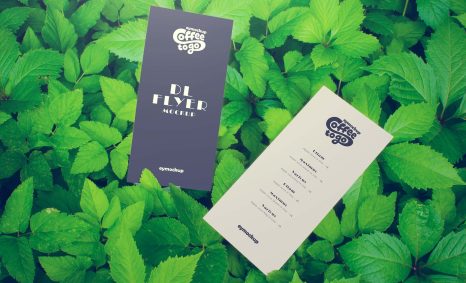 Download Free Branding Flyer Mockup 19 Free Branding DL Flyer Mockup