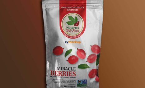 Free Foil Pouch Mockup