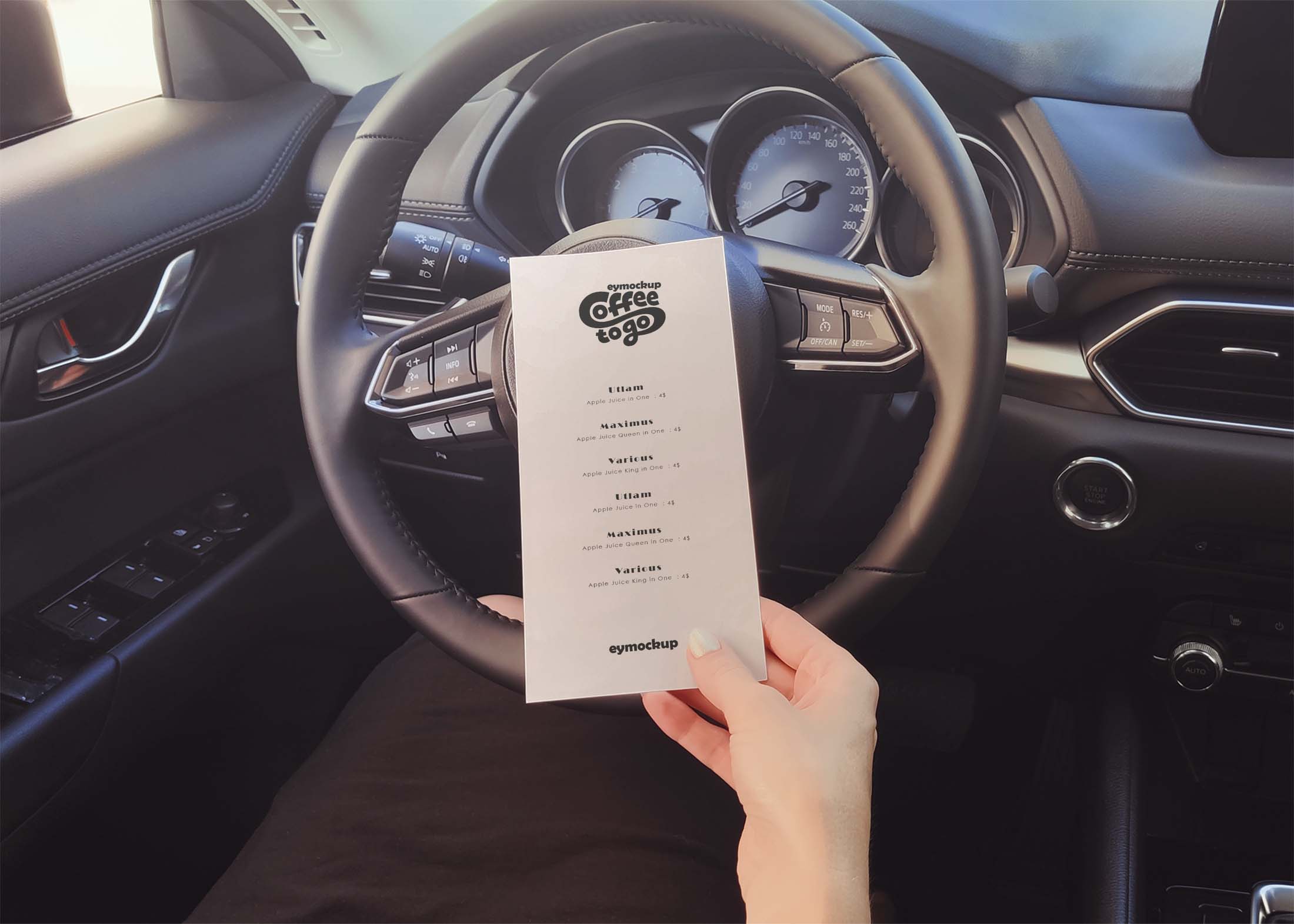 Downloadable Front View Flyer Mockup 3 Free Front View DL Flyer Mockup