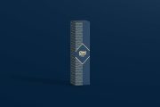 Free Modern Box Mockup