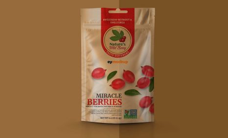 Free Transparent Stand-up Pouch Mockup