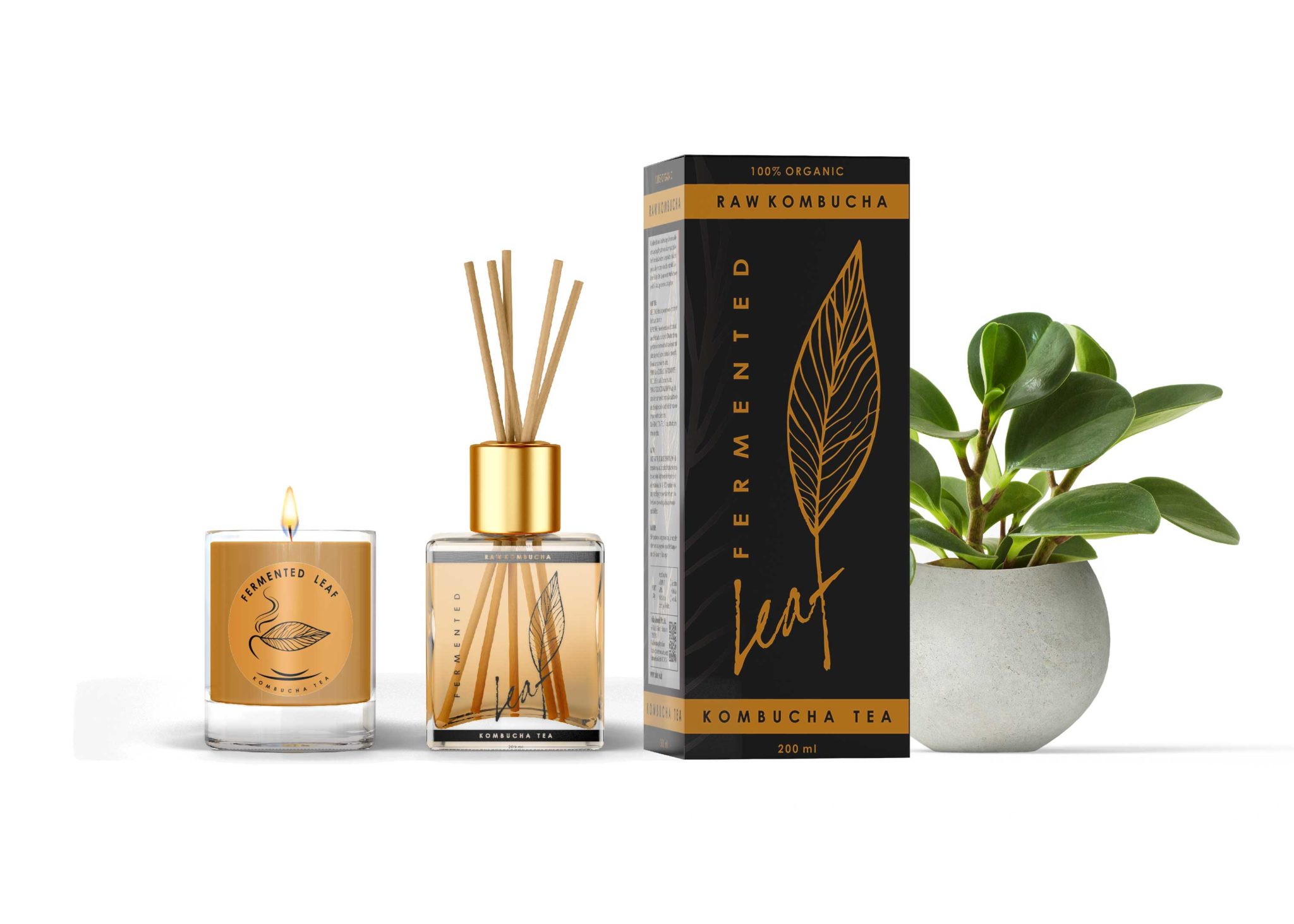 Free Skin Oil Products Combo Mockup